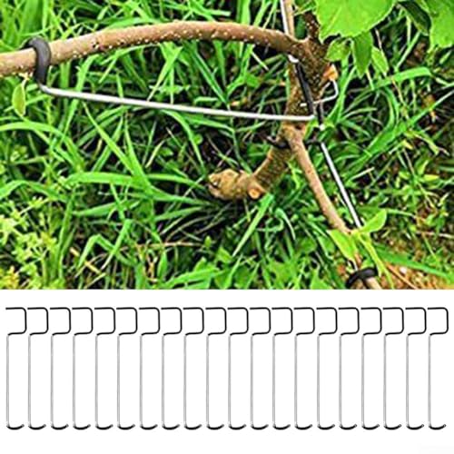BlissfulAbode Astspreizer aus Edelstahl, verhindert das Durchhängen von Zweigen, einfache Installation, ideal für Obstbäume, Halter für Obstzweige 20 Stück (16T) von BlissfulAbode