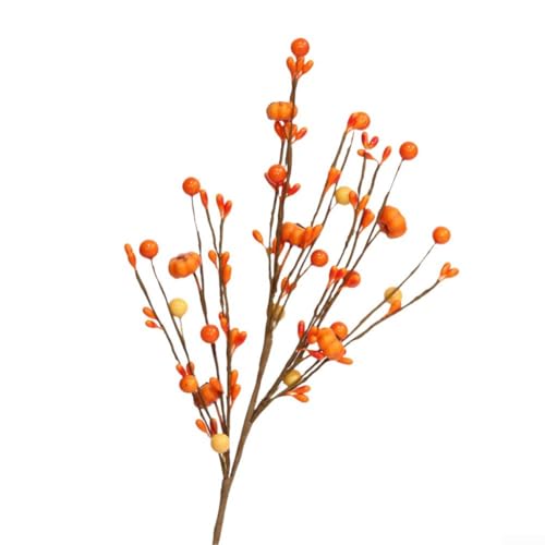 Flexible Kürbisspieße für saisonale Herbstdekoration, für Thanksgiving-Bastelarbeiten und Blumenarrangements, empfohlene Verwendung im Innenbereich Flexible Kürbisspieße für saisonale Herbstdekoration, für Thanksgiving-Bastelarbeiten und Blumenarrangements, empfohlene Verwendung im Innenbereich von BlissfulAbode