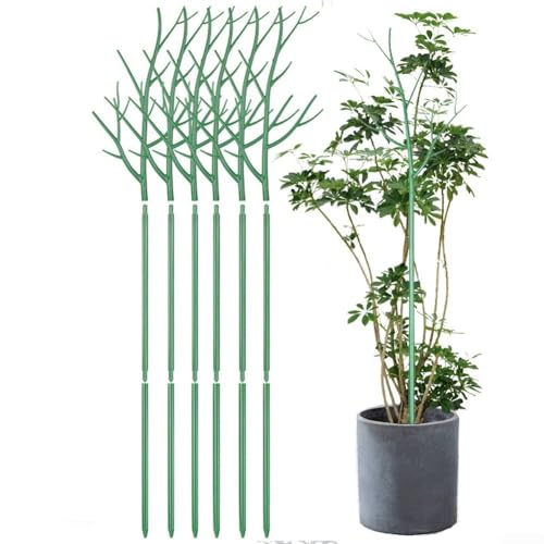 Flexibles Stützsystem für Zimmerpflanzen, abnehmbare Heringe für Kletterpflanzen und Blumen (A) von BlissfulAbode