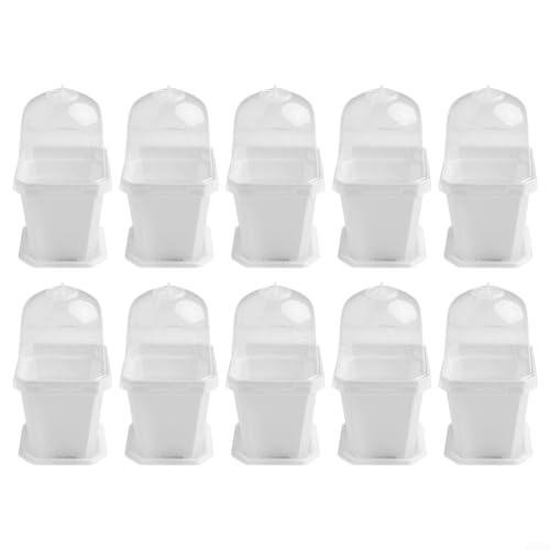 Pflanztöpfe mit Feuchtigkeitskuppel, 10-teiliges Set für kleine Pflanzenübergänge und Gartenarbeit, entworfen für Entwässerung (15,5 cm weiß) von BlissfulAbode