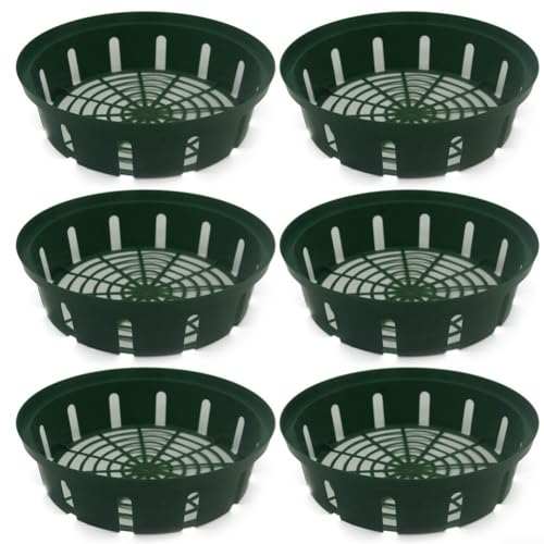 Set mit 6 leichten Pflanzkörben, perfekt für Blumenzwiebel-Gartenarbeit und Präsentation von BlissfulAbode
