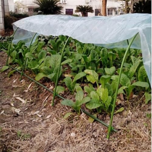 Widerstandsfähige Gewächshausfolie, ideal für längere Sonneneinstrahlung, schützt Pflanzen und Pflanzen (2 m) von BlissfulAbode