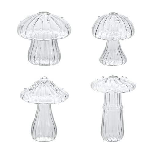 BlogBlog Mini Pilz Vase Kreative Glasvase für Pflanzen Hydroponische Kunst Klar von BlogBlog