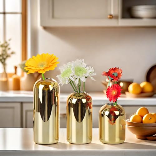 BlogBlog Glasvasen für Blumen – kleine Glasvasen für die Dekoration, Großpackung Blumenvase für Wohnzimmer, Esstisch, Hochzeit, Party, Events, Heimdekoration, Blumenarrangements (Gold, 3 Stück) von BlogBlog
