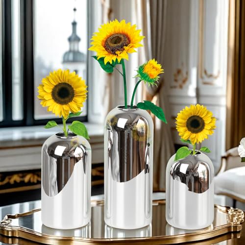 BlogBlog Glasvasen für Blumen – kleine Glasvasen für die Dekoration, Großpackung Blumenvase für Wohnzimmer, Esstisch, Hochzeit, Party, Events, Heimdekoration, Blumenarrangements (Silber, 3 Stück) von BlogBlog