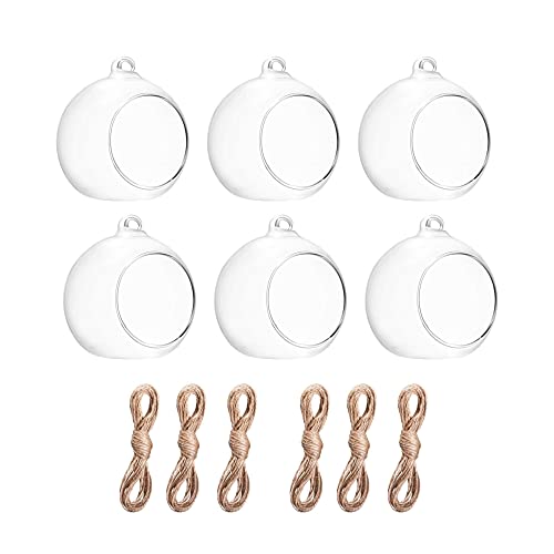 BlogBlog Hängender Glas-Kerzenhalter, Globus-Glas-Teelichthalter, hängende Glasvase, Blumenpflanzen, Terrarium, Glaskugeln, Behälter, Mikro-Landschaft, DIY für Zuhause, Büro, Hochzeit (8 cm, 6 Stück) von BlogBlog