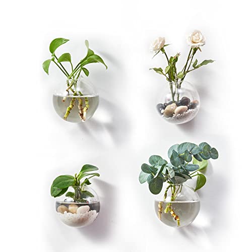 BlogBlog Wandbehang Pflanzgefäße Terrarium Glas Luft Pflanze Halter Töpfe für Pflanzen BlogBlog Wandbehang Pflanzgefäße Terrarium Glas Luft Pflanze Halter Töpfe für Pflanzen von BlogBlog