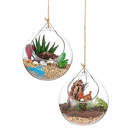 Blogiiup Hängendes Glas-Terrarium, 2 Stück, Glas-Hänge-Pflanzgefäß, Luftfarn-Halter, Terrarium-Pflanzen, Aufhänger, Vase, Zuhause, Weihnachtsdekoration, Geschenkidee von Blogiiup