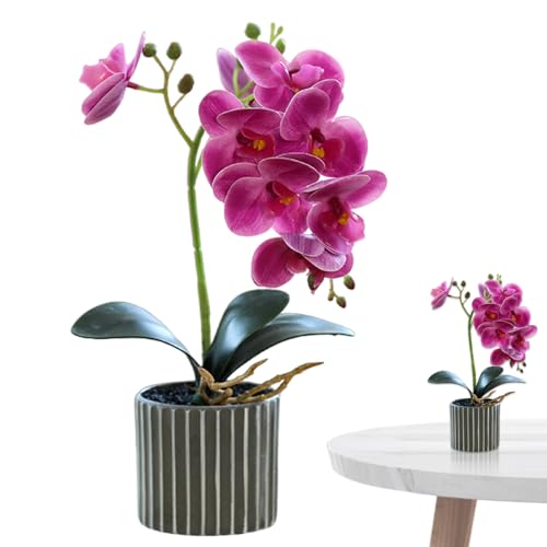 Blogiiup Orchidee künstliche Blumen, falsche Orchidee im Topf 12, 6 Zoll lebensechter künstlich mit 8 Kopfwartungsfälschten für Heim, Büro, Hotel, Pflanzen, Lila Blogiiup Orchidee künstliche Blumen, falsche Orchidee im Topf 12, 6 Zoll lebensechter künstlich mit 8 Kopfwartungsfälschten für Heim, Büro, Hotel, Pflanzen, Lila von Blogiiup