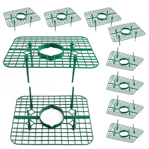Blogiiup Strawberry -Stütze, 10 Stcs Strawberry Plant Support Quadrate -Unterstützungsstütze wiederverwendbarer Pflanzer entfernbarer Halter 9, 8 * 7, 9 * 3, 7 Zoll grün Blogiiup Strawberry -Stütze, 10 Stcs Strawberry Plant Support Quadrate -Unterstützungsstütze wiederverwendbarer Pflanzer entfernbarer Halter 9, 8 * 7, 9 * 3, 7 Zoll grün von Blogiiup