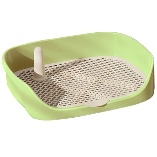 Hundetoilettentraining, Hundetoilettenschale 15.8x11.8x4.3 in abnehmbarem sicherem Plastik -Training Waschbares Töpfchen für kleine Hunde und Welpen, Innentöpfchen, Grün Hundetoilettentraining, Hundetoilettenschale 15.8x11.8x4.3 in abnehmbarem sicherem Plastik -Training Waschbares Töpfchen für kleine Hunde und Welpen, Innentöpfchen, Grün von Blogiiup