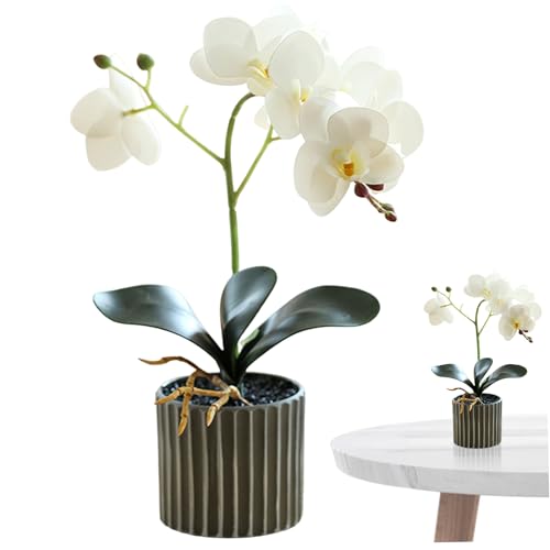 Orchidee künstliche Blumen, falsche Orchidee im Topf 12, 6 Zoll lebensechter künstlich mit 8 Kopf -Wartung gefälschten Blumen für Zuhause, Büro, Hotel, Pflanzen, Weiß von Blogiiup