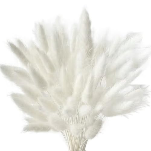 Pampas, 60pcs Pampas grasdekor 17 Zoll Simulation Kunstgras lustige DIY -Fotografie Requisiten Einfach zu verwenden Boho -Blumen für Home Wedding Decor Basteln, Weiß, getrocknet Pampas, 60pcs Pampas grasdekor 17 Zoll Simulation Kunstgras lustige DIY -Fotografie Requisiten Einfach zu verwenden Boho -Blumen für Home Wedding Decor Basteln, Weiß, getrocknet von Blogiiup