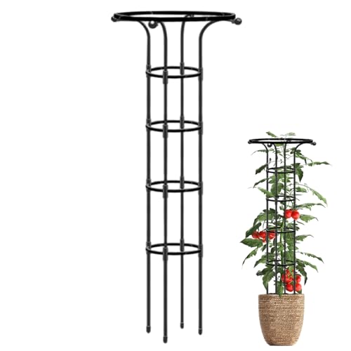 Pflanzenschleuder, Gartenschlangen für Kletterpflanzen, 61 -Zoll -Regenschirmform Rose, rostfeste Metall -Vertikalgarten Obelisk für Outdoor, Obelisk Pflanzenschleuder, Gartenschlangen für Kletterpflanzen, 61 -Zoll -Regenschirmform Rose, rostfeste Metall -Vertikalgarten Obelisk für Outdoor, Obelisk von Blogiiup
