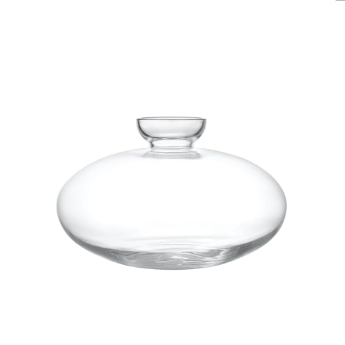 Blomus Vase -AVO- | Handgefertigte Glasvase Rund | Avocadovase aus mundgeblasenem Glas | Größe S 15Øx9H cm von Blomus