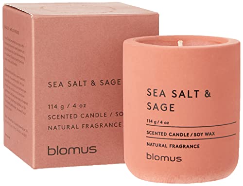 blomus -FRAGA- Duftkerze S aus Sojawachs, Withered Rose, hochwertiger Raumduft, charakteristische Beton-Optik, Duft SEA SALT & SAGE, 24 h Brenndauer (H / B / T: 8 x 6,5 x 6,5 cm, Withered Rose, 65651) von Blomus