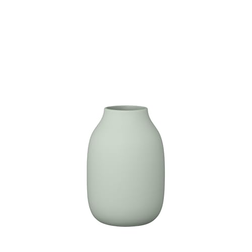 blomus Vase -COLORA- | Blumenvase aus Keramik | Farbe Desert Sage | Größe S Ø11x15H cm | hochwertige Handarbeit blomus Vase -COLORA- | Blumenvase aus Keramik | Farbe Desert Sage | Größe S Ø11x15H cm | hochwertige Handarbeit von Blomus