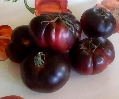 Bloom Green Co. ! Neue Ankunft Schokolade Black Tomato Bonsai, Topf Bio-Gemüse, Obst, Tomatenpflanze für Hausgärten-100 PCS/Pack, 5ISJYA: 11 von Bloom Green Co.