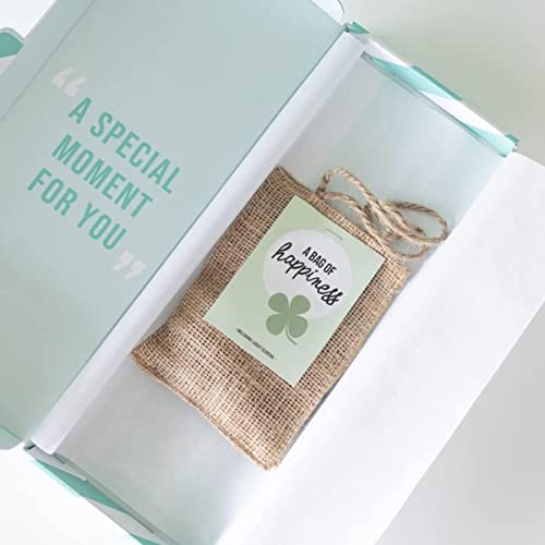 BloomPost A Bag of Happiness L025 Clover Samen mit Beutel und Erde - Grow Them Yourself - Original Briefkasten-Geschenk, Braun von BloomPost