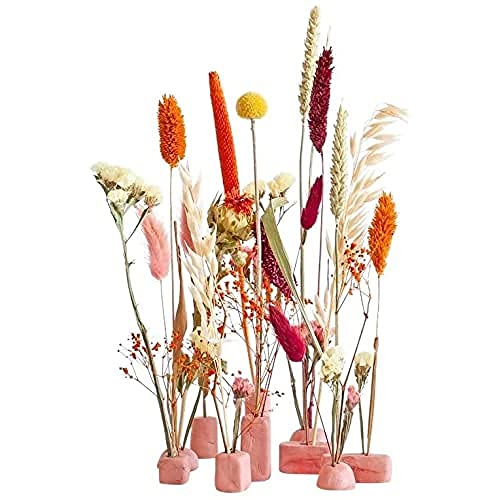 BloomPost Bloom & Clay Terra - Briefkasten Trockenblumen - Terracotta - Ton (250 g) + 2 x Spachtel - Länge Trockenblumen +/- 30 cm - Das originelle Briefkastengeschenk von BloomPost