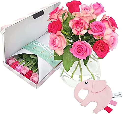 BloomPost Briefkasten-Geschenk – It's a Girl – Briefkasten-Geschenk für Babys – Strauß rosa Rosen – Lieferung frischer Blumen von BloomPost