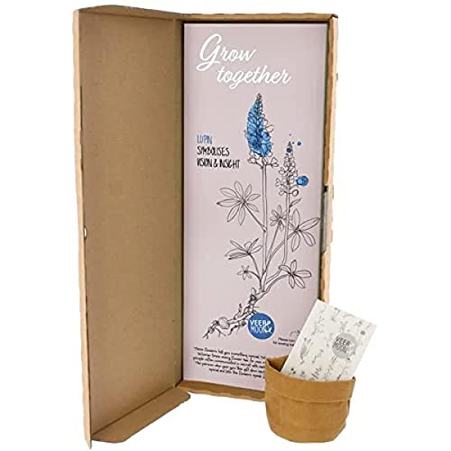 BloomPost Flower Seeds - Grow together von BloomPost