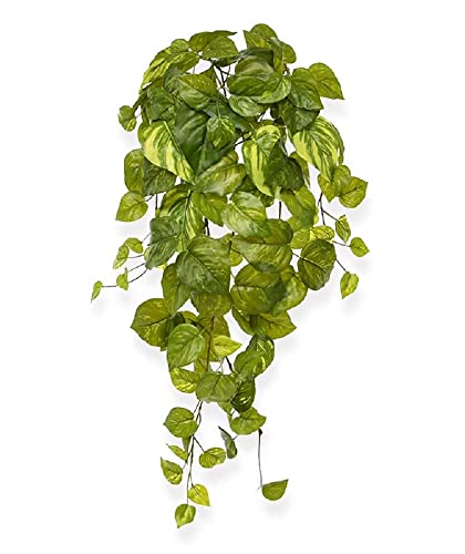 BloomPost Pothos Künstliche Hängepflanze 55 cm - Haustier und kindersicher – Künstliche Zimmerpflanze für Heim und Bürodekoration von BloomPost