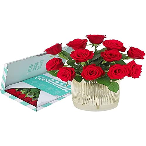 BloomPost Rote Rosen – Geschenk im Briefkasten – Frische Blumen geliefert – Blumenstrauß perfekt für Valentinstag, Geburtstage, Jubiläen und Dankeschön-Geschenke von BloomPost