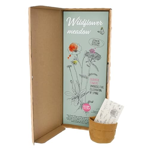 BloomPost "Wildflower Meadow" - Blumensamen - Geschenke für den Postkasten von BloomPost