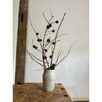 3 Lärchenzweige Mit Zapfen 60 cm von Bloomenhof