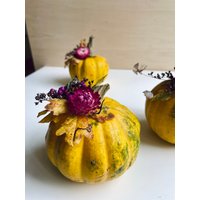 Herbstlicher Zierkürbis Mit Trockenblumen - Nachhaltige Tischdeko Aus Eigenem Anbau Herbstlicher Zierkürbis Mit Trockenblumen - Nachhaltige Tischdeko Aus Eigenem Anbau von Bloomenhof
