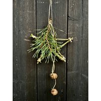 Türschmuck Stern Aus Zweigen Und Kiefer, Türkranz Türschmuck Stern Aus Zweigen Und Kiefer, Türkranz von Bloomenhof