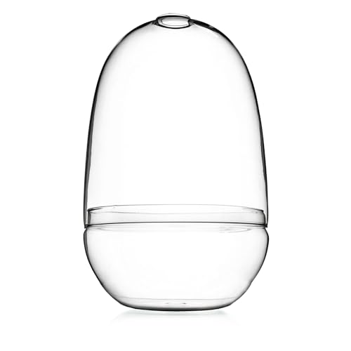 Bloomingville A82041743 Glass Terrarium, Large, Clear von Bloomingville