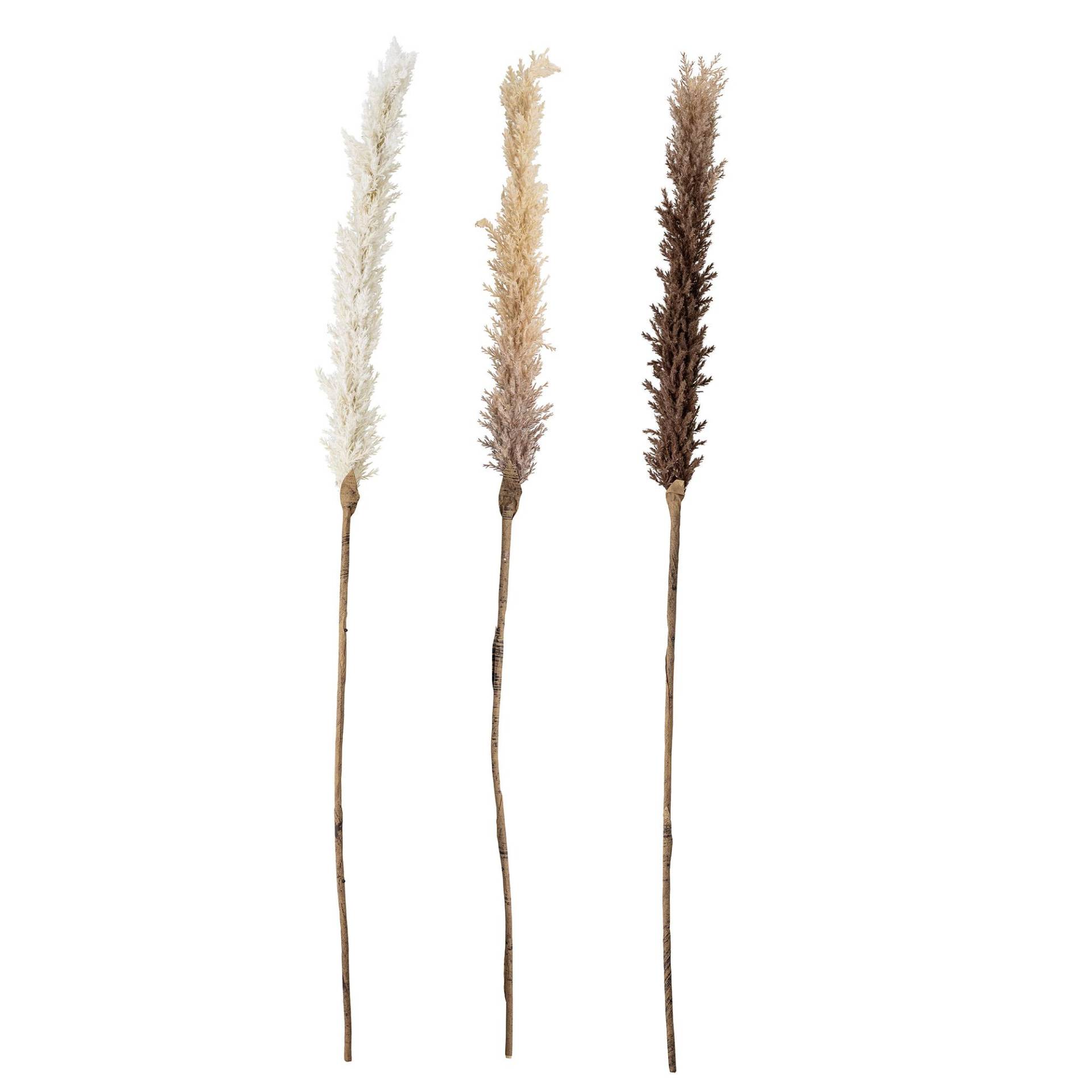 Bloomingville Dekoblumen Kunstblumen Gräser 3er Set 110 cm mehrfarbig Bloomingville Dekoblumen Kunstblumen Gräser 3er Set 110 cm mehrfarbig von Bloomingville A/S
