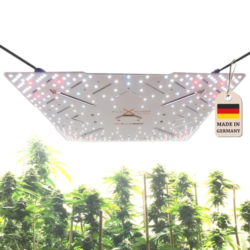 Bloomstar by Crescience FLUXshield Babo 450C cSpec Chroma Plus 160W Pflanzenlampe Vollspektrum dimmbare Grow Light für Indoor Anbau mit Samsung LM301 LED Meanwell driver Netherlands Amsterdam Houses von Bloomstar