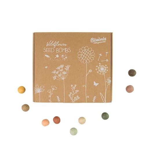 Blossombs Samenbomben - Geschenkverpackung Medium mit 9 Saatbomben - Blumen Geschenk für Bienen und Schmetterling Blumensamen von Blossombs