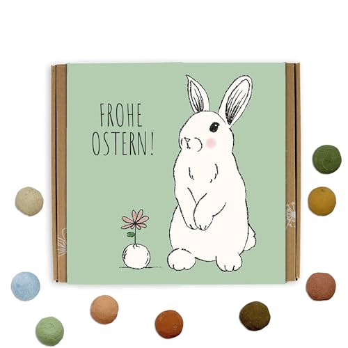 Blossombs Samenbomben Ostern Geschenkbox - Frohe Ostern, Osterhase - 1 Stück mit 9 Blumenbomben Geschenk für Sie und Ihn Blumensamen Saatbomben von Blossombs