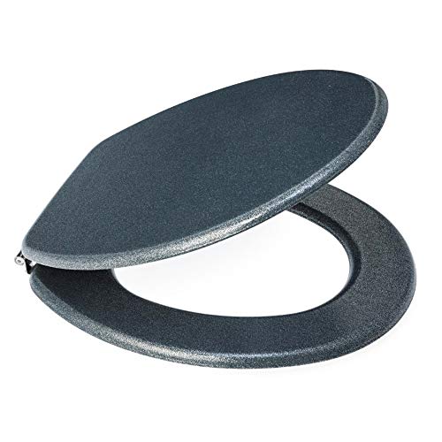 Blue Canyon TS220 Hampton WC-Sitz, Grau von Blue Canyon