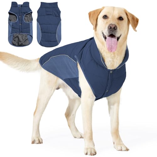 Reflektierender, wasserdichter Hunde-Wintermantel, winddicht, Thermoweste mit Traktionsloch, hoher Halsausschnitt, elastischer Bauch, für kaltes Wetter, Jacke für kleine, mittelgroße und große Hunde von Blue Dream Island