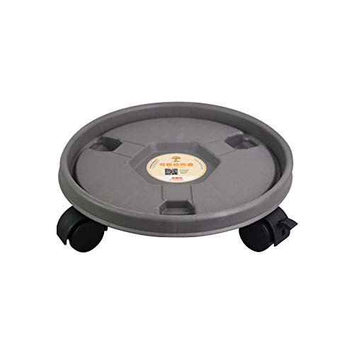 Pflanzenroller - Runder Untersetzer Mit Rollen Für Pflanzentopf | Rollbrett Kübel Transport Blumen Topf | Pflanzenständer Blumenroller Tragkraft 20 Kg | Durchmesser 23cm Pflanzenroller - Runder Untersetzer Mit Rollen Für Pflanzentopf | Rollbrett Kübel Transport Blumen Topf | Pflanzenständer Blumenroller Tragkraft 20 Kg | Durchmesser 23cm von Blue Fish