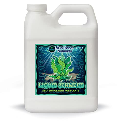 Flüssiger Seetang für Pflanzen, 900 ml, konzentriertes flüssiges Kelp-Ergänzungsmittel, ergibt bis zu 250 Liter, für alle Pflanzen und Gärten Blue Planet Nutrients von Blue Planet Nutrients