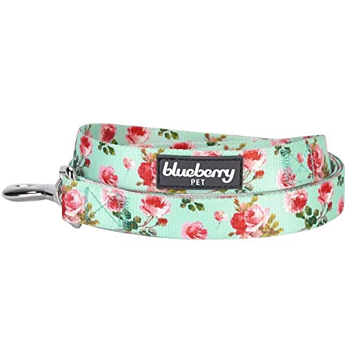 Blueberry Pet New 2,5 cm by 120 cm Frühlingsduft Inspiriertes Geblümtes Rosenmuster Türkis Basic Nylon-Hundeleinen, L, Passender Hundehalsband erhältlich Separate von Blueberry Pet