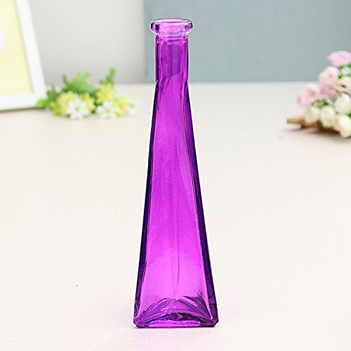 Bluelover Farbe Klar Mini Glas Vase Zakkz Flasche Glas Ornamente Blume Arrangieren Home Decor-Lila von Bluelover