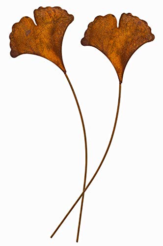 Blümelhuber 2er Set Gartenstecker Ginkgoblatt Metall Rost Gartendeko Edelrost Blümelhuber 2er Set Gartenstecker Ginkgoblatt Metall Rost Gartendeko Edelrost von Blümelhuber