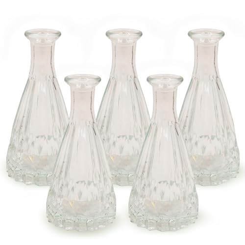 Blümelhuber 5X Kleine Vase Glas Deko Hochzeit - Vase Klein - Vase Modern - Boho Hochzeit Deko Frühling - Pflanzen Deko Trockenblumen Set - Boho Deko (Durchsichtig) von Blümelhuber