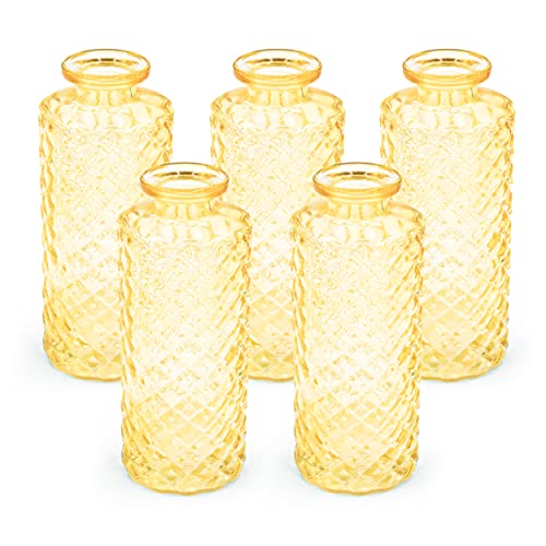Blümelhuber 5er Set Kleine Vase Glas Deko Hochzeit - Vase Klein - Vase Modern - Deko Frühling - Pflanzen Deko Trockenblumen Set Vasen Hochzeitsdeko (Gelb) von Blümelhuber