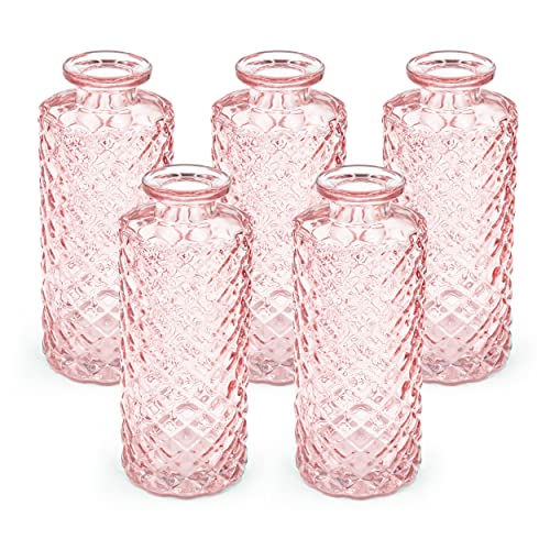 Blümelhuber 5er Set Kleine Vase Glas Deko Hochzeit - Vase Klein - Vase Modern - Deko Frühling - Pflanzen Deko Trockenblumen Set Vasen Hochzeitsdeko (Rose) von Blümelhuber