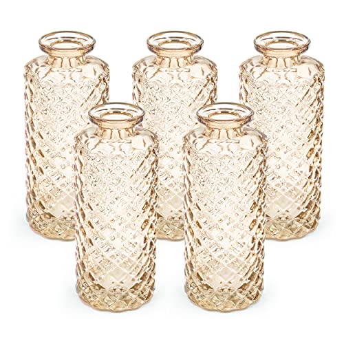 Blümelhuber 5er Set Kleine Vase Glas Deko Hochzeit - Vase Klein - Vase Modern - Deko Frühling - Pflanzen Deko Trockenblumen Set Vasen Hochzeitsdeko (Taupe) von Blümelhuber