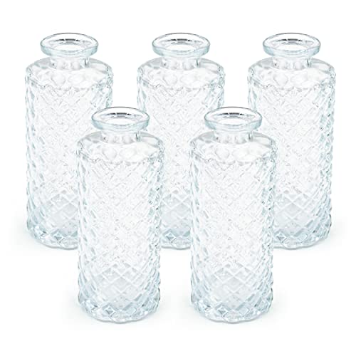 Blümelhuber 5er Set Kleine Vase Glas Deko Hochzeit - Vase Klein - Vase Modern - Deko Frühling - Pflanzen Deko Trockenblumen Set Vasen Hochzeitsdeko (Weiß) von Blümelhuber