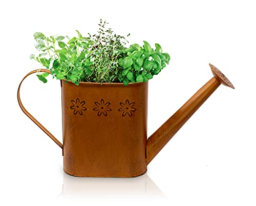 Blümelhuber Edelrost Gartendeko Gießkanne Vintage - Rost Deko Gießkanne Metall zum Bepflanzen - Giesskanne Metall Deko für Garten - Gießkanne aus Metall als Balkon Dekoration, Terrasse oder Vorgarten von Blümelhuber